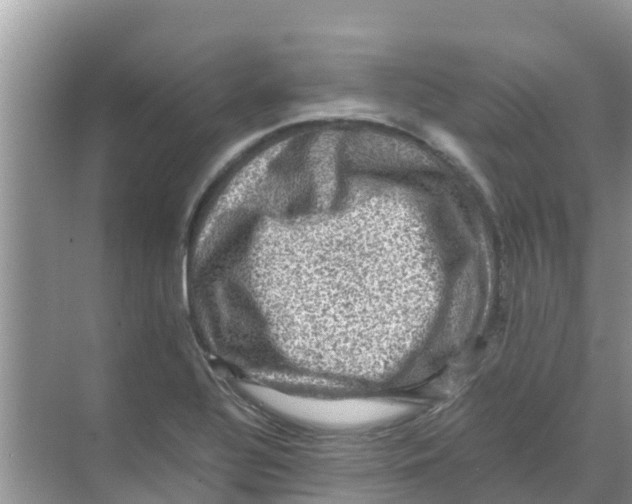 X0000070171320200606231910