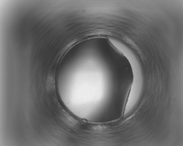 X0000070171321200606231911