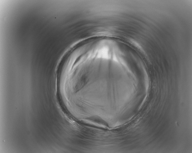 X0000070171323200606231911