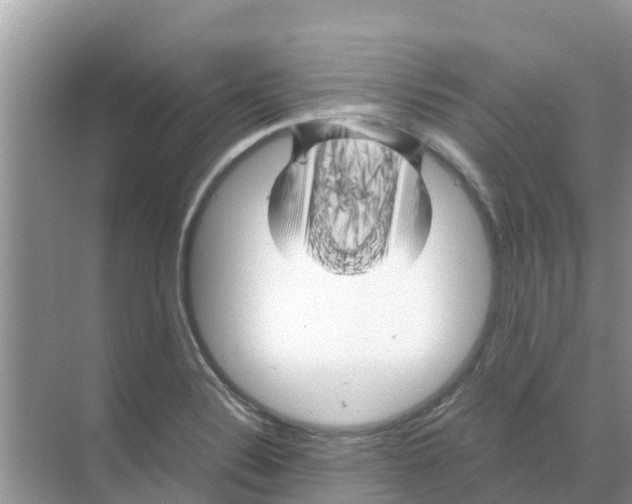 X0000070171324200606231911