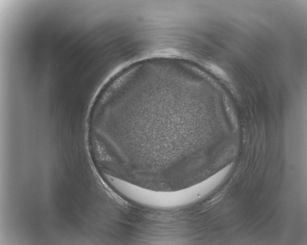 X0000070171326200606231911