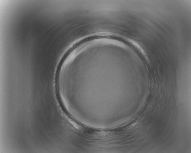 X0000070171327200606231911