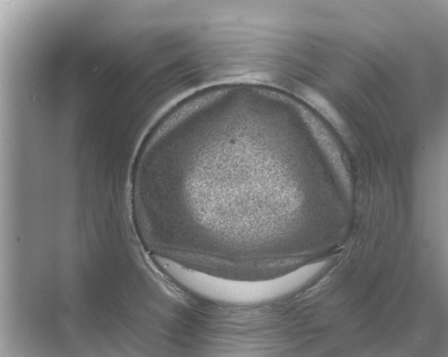 X0000070171332200606231911