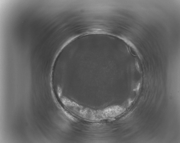 X0000070171333200606231911