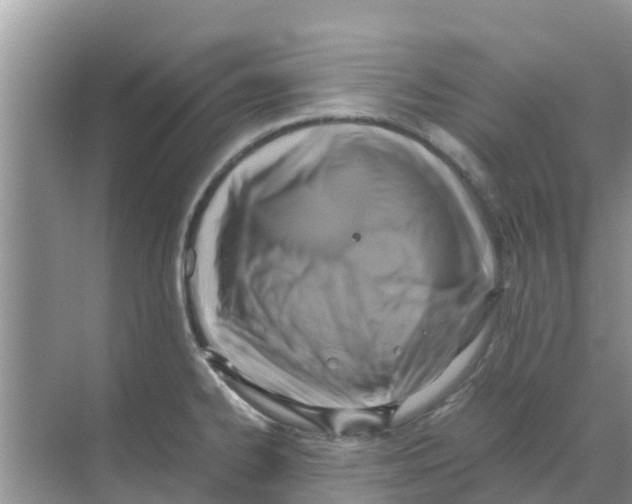 X0000070171334200606231911