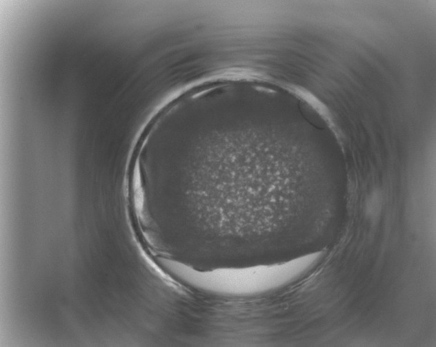 X0000070171335200606231911