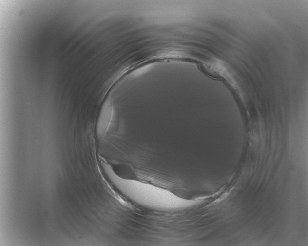 X0000070171337200606231911