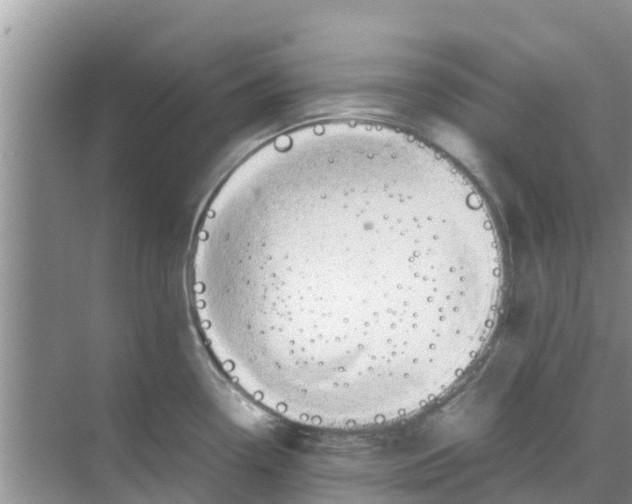 X0000070171338200606231911