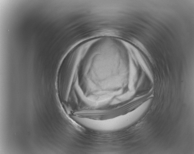 X0000070171339200606231911