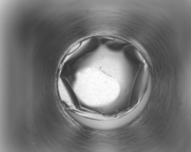 X0000070171340200606231911