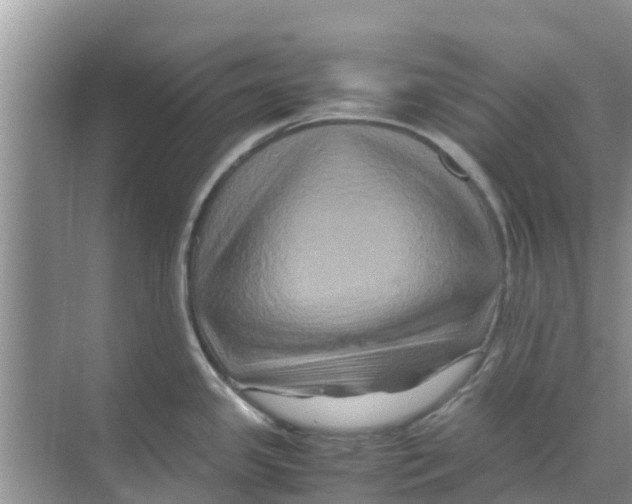 X0000070171341200606231911