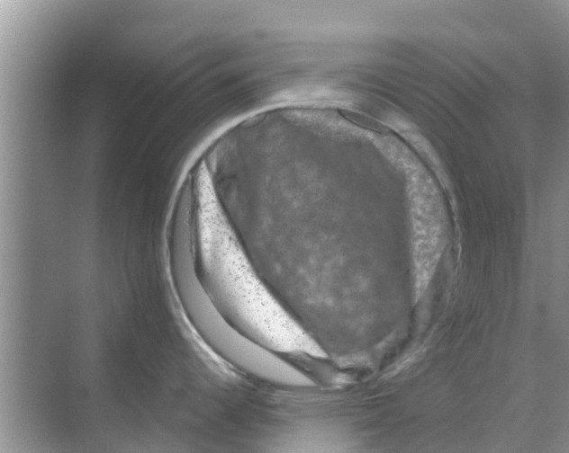 X0000070171344200606231911