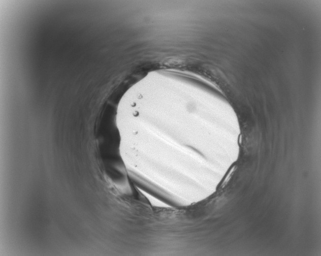 X0000070171345200606231910