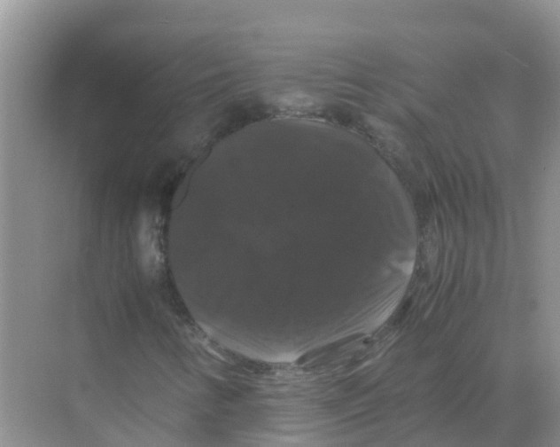 X0000070171346200606231910