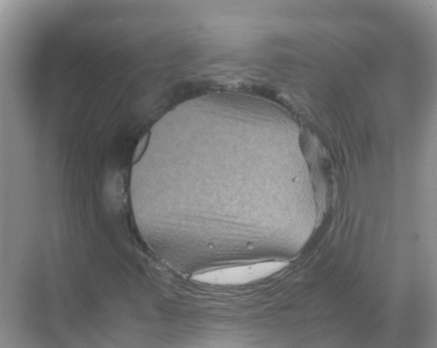 X0000070171347200606231910