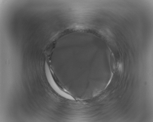 X0000070171348200606231910