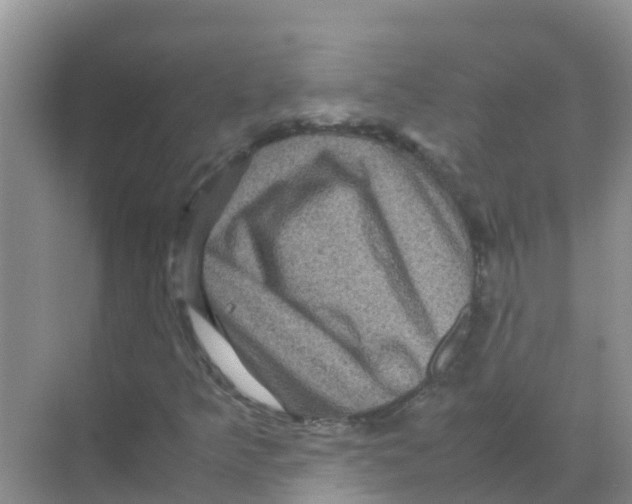 X0000070171349200606231910