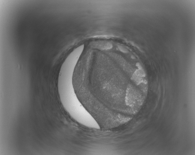 X0000070171351200606231910