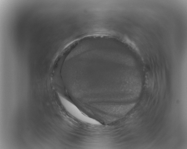 X0000070171352200606231910