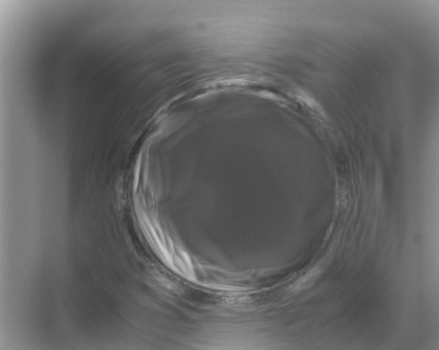 X0000070171353200606231910