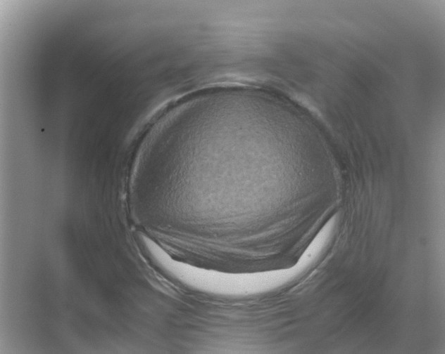 X0000070171355200606231910