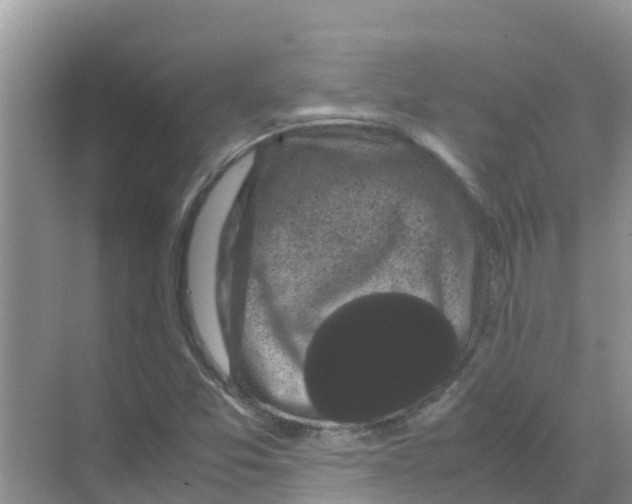 X0000070171357200606231910