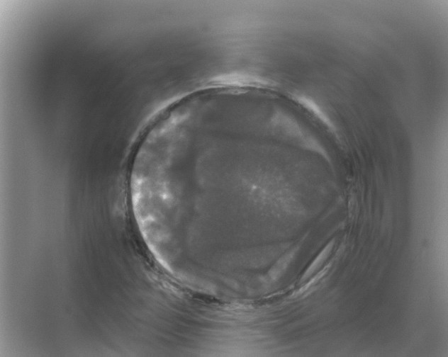 X0000070171358200606231910