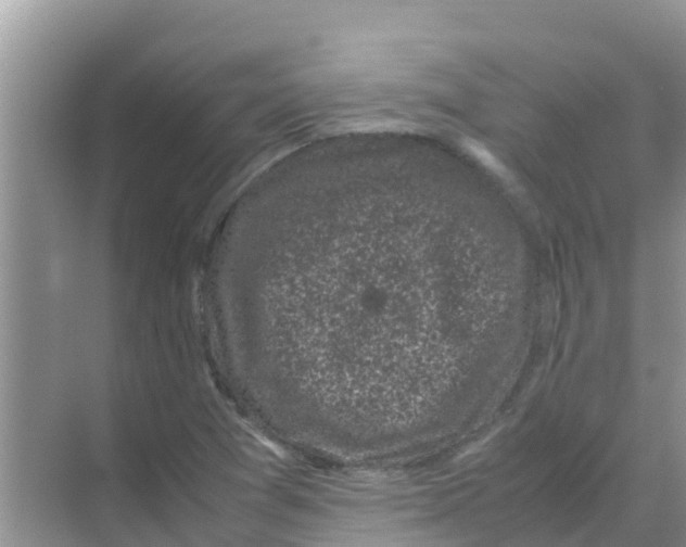 X0000070171361200606231910