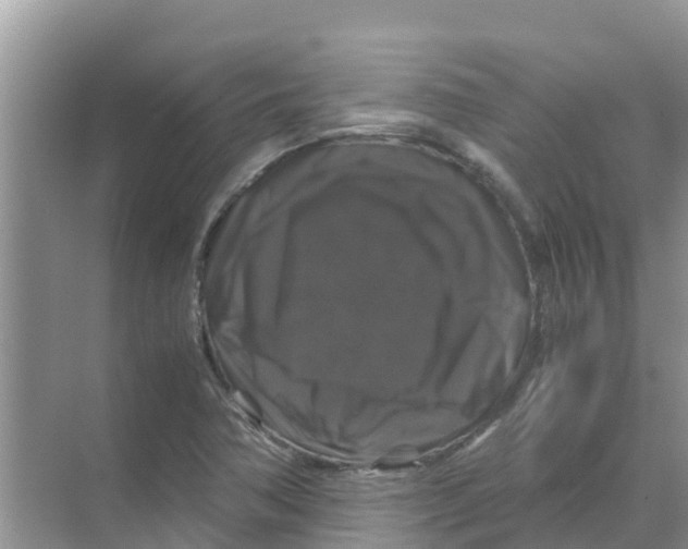 X0000070171362200606231910