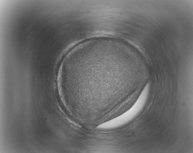 X0000070171363200606231910