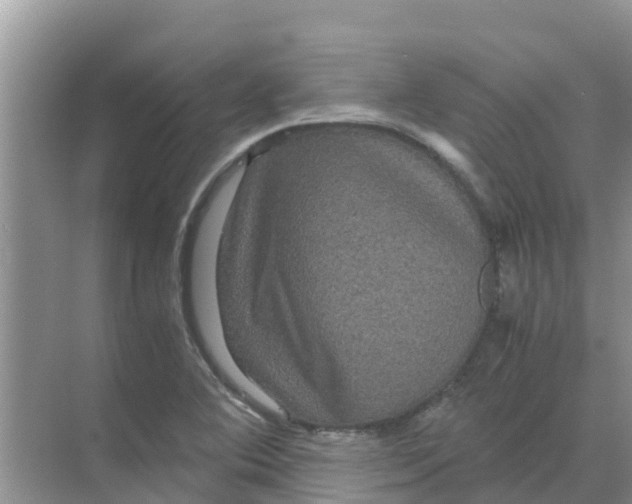 X0000070171364200606231910