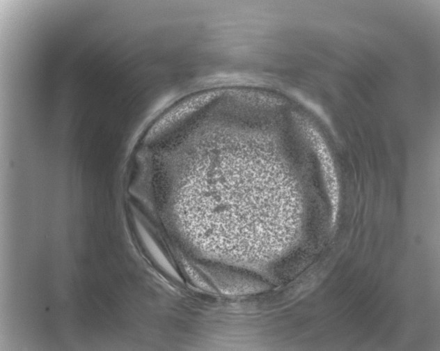 X0000070171365200606231910