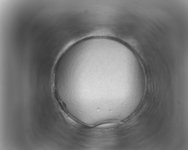 X0000070171366200606231910