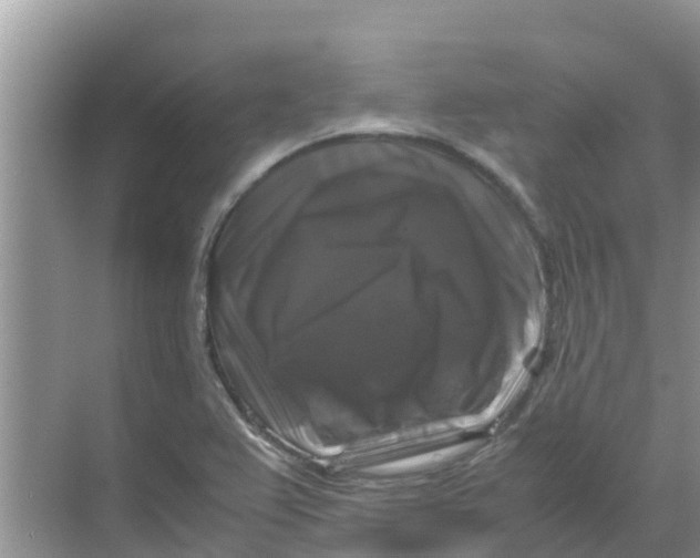 X0000070171367200606231910