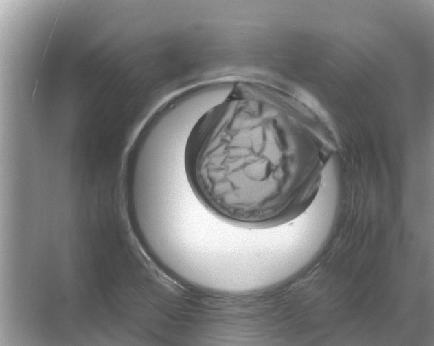 X0000070171368200606231910