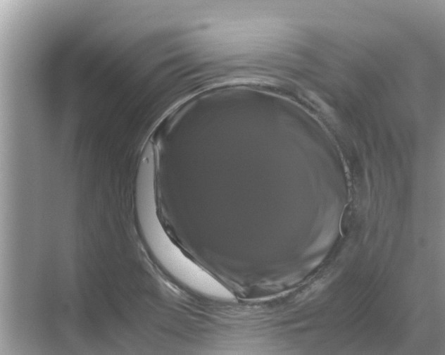 X0000070171369200606231910