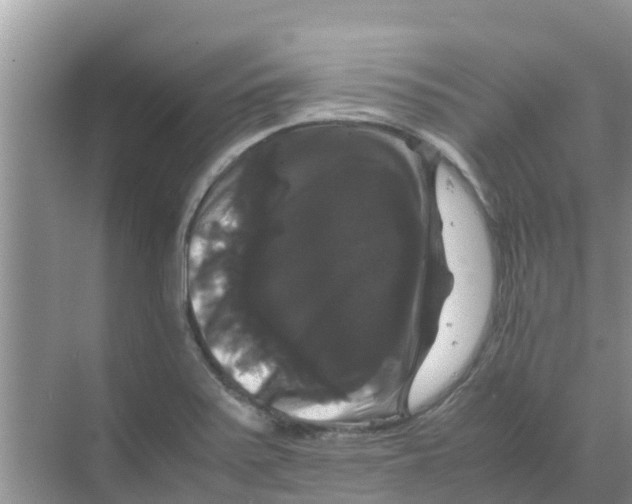 X0000070171371200606231910