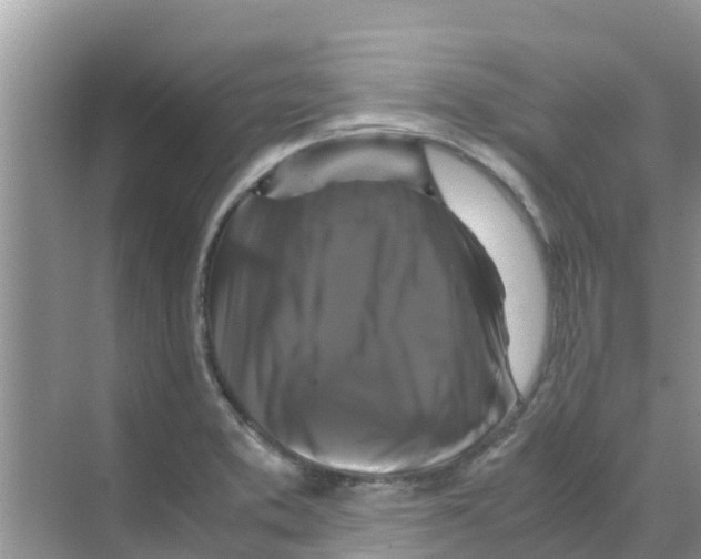 X0000070171373200606231910