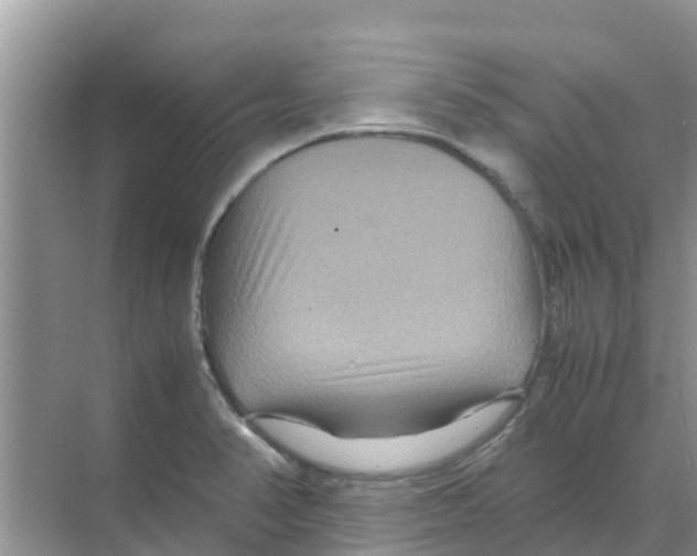 X0000070171374200606231910