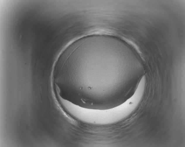 X0000070171375200606231910