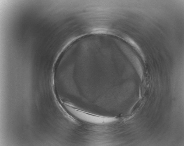 X0000070171376200606231910