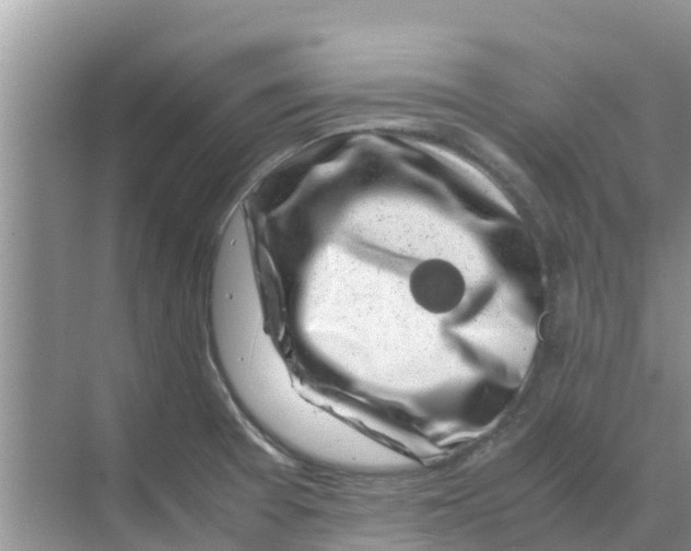 X0000070171377200606231910