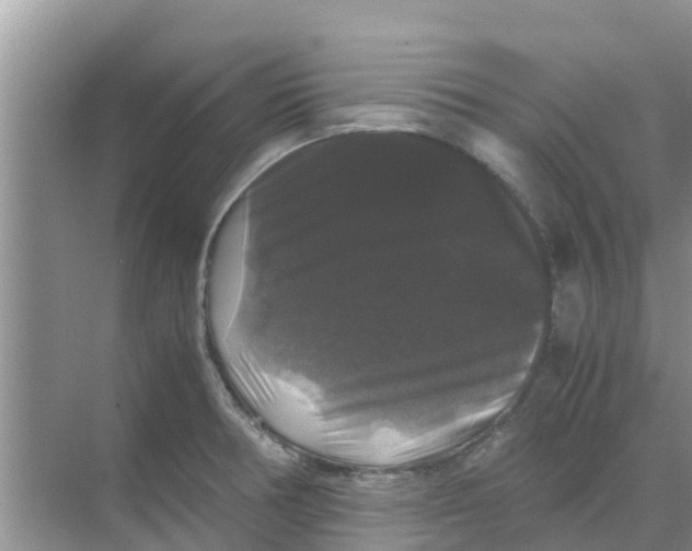 X0000070171378200606231910