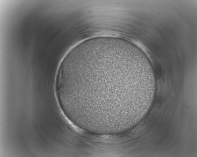 X0000070171379200606231910