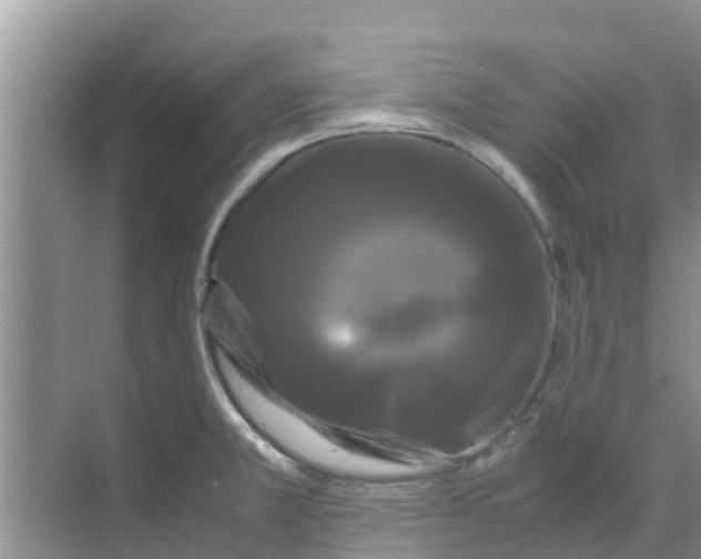 X0000070171381200606231909