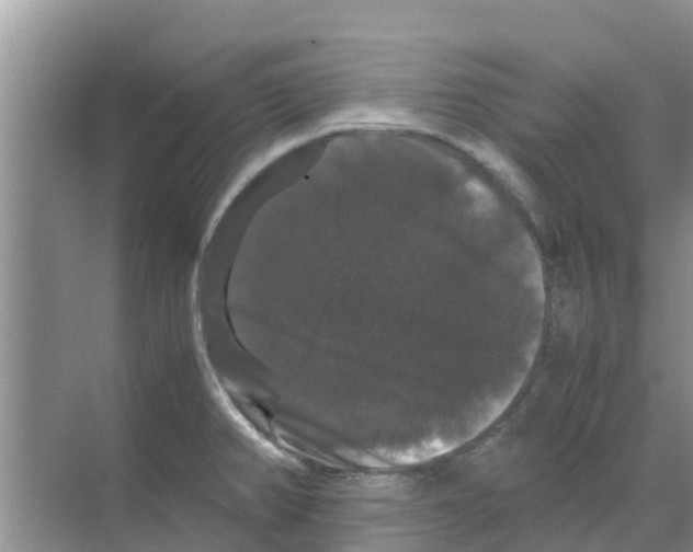 X0000070171382200606231909