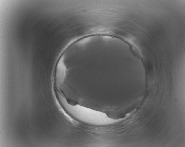 X0000070171383200606231909