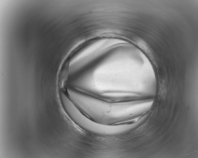 X0000070171384200606231909