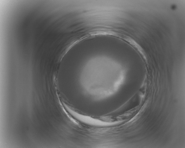 X0000070171385200606231909