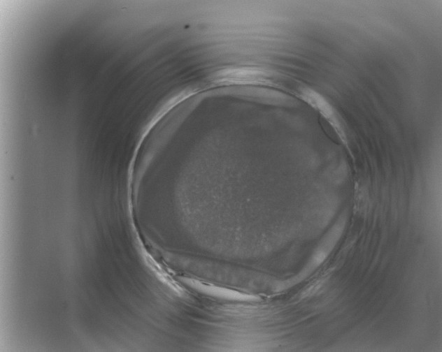 X0000070171386200606231909